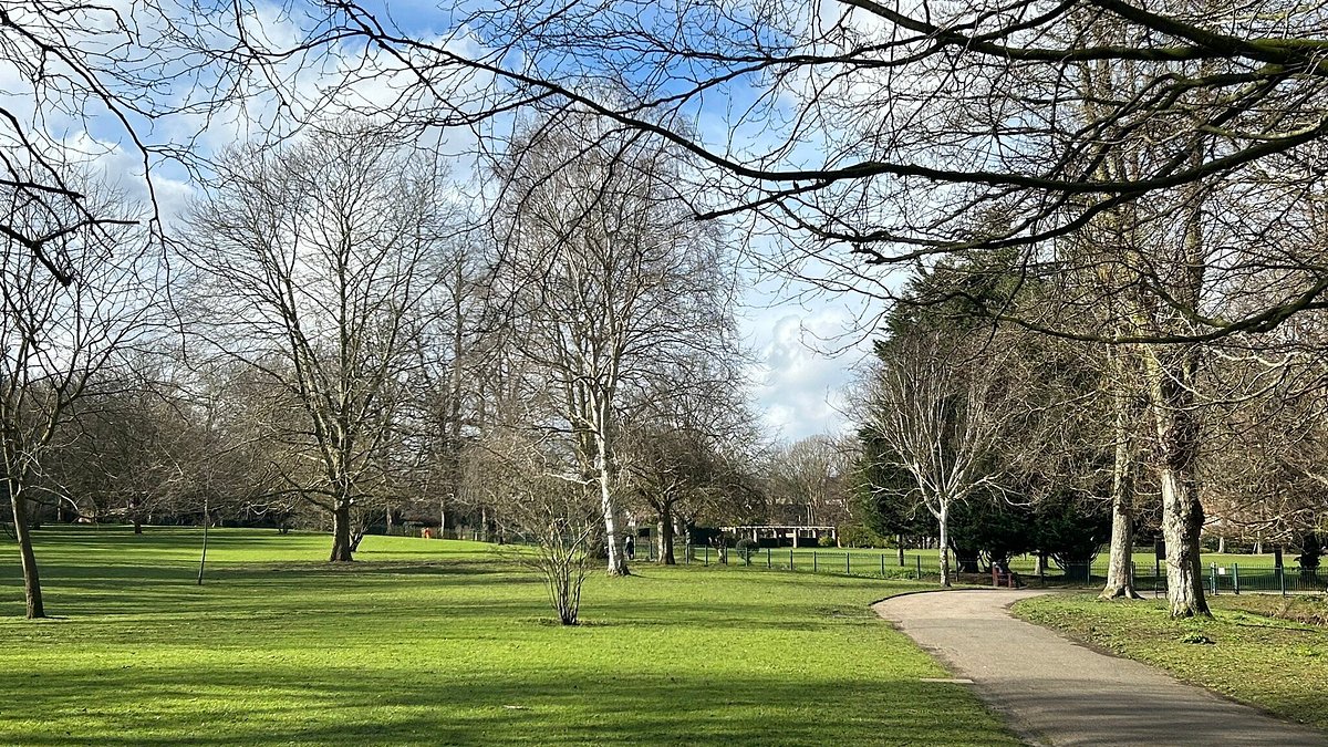 Orpington area orpington